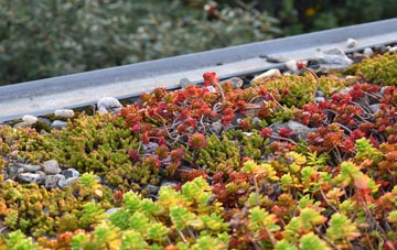 the cost of Waddicombe green roof installation
