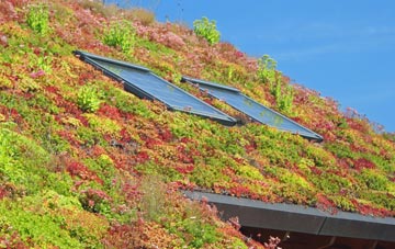 Waddicombe living roof systems